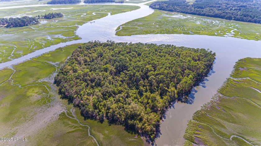 Blackwall Island is a private retreat sprawling 20+ acres with - Beach Acreage for sale in Saint Helena Island, South Carolina on Beachhouse.com
