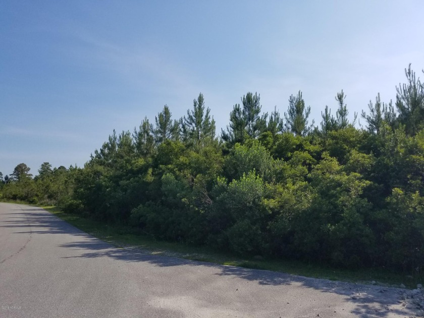 This 92.90 +/- acre tract would make a fantastic location for a - Beach Acreage for sale in Shallotte, North Carolina on Beachhouse.com