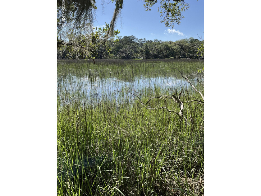 Build the home of your dreams on this amazing lot in the - Beach Lot for sale in Beaufort, South Carolina on Beachhouse.com