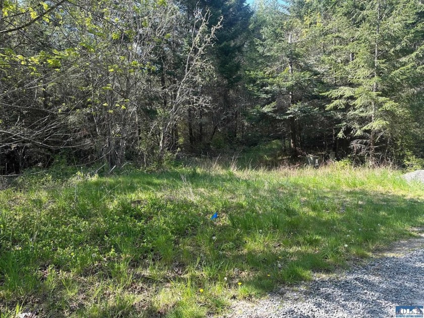 NKA Pristine Lane Lot 1 - Beach Acreage for sale in Port Angeles, Washington on Beachhouse.com