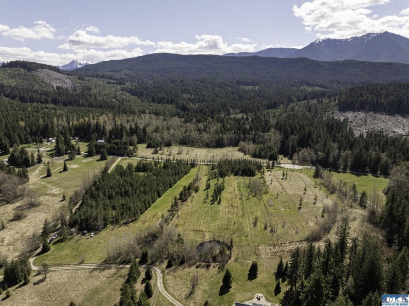 An exceptional level 19.67 acres nestled in a mountain valley at - Beach Acreage for sale in Sequim, Washington on Beachhouse.com