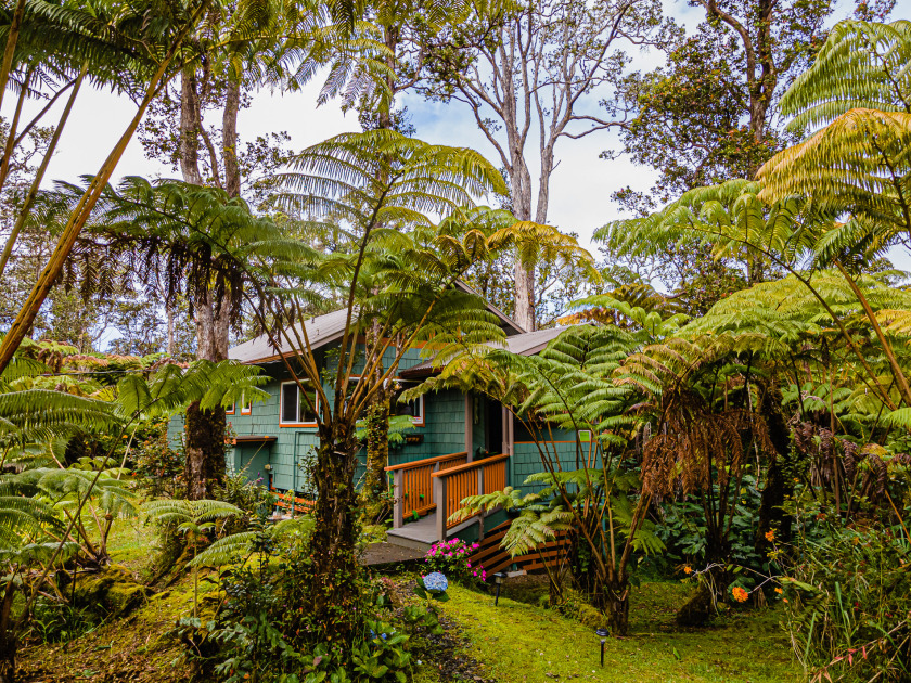 Darling, Private Cottage Near Hawaii Volcanoes Nat'l - Beach Vacation Rentals in Volcano, Hawaii on Beachhouse.com