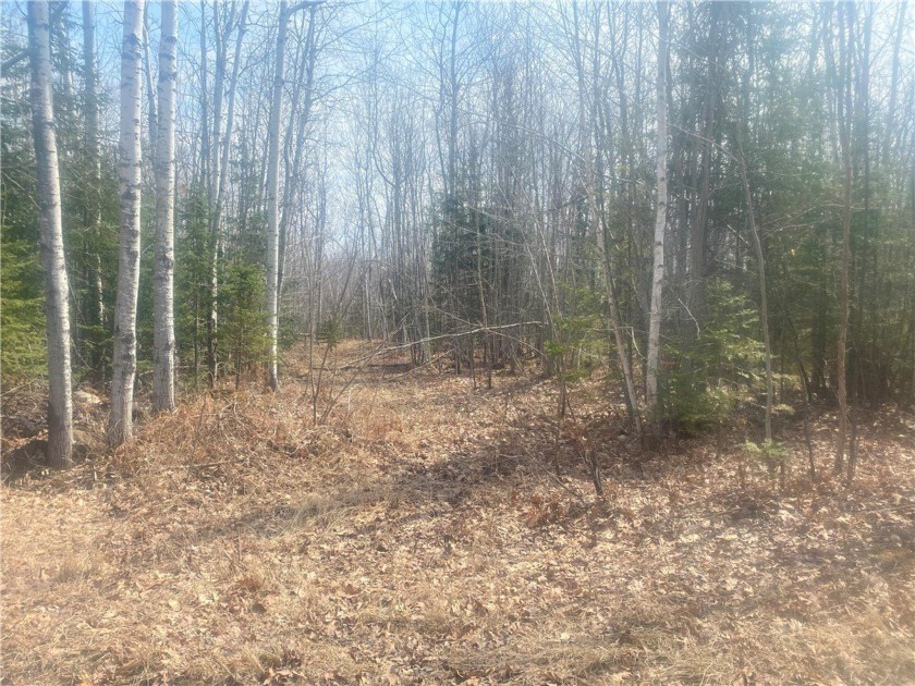Outdoor Enthusiasts!!  Looking for your own private space??  The - Beach Acreage for sale in Herbster, Wisconsin on Beachhouse.com