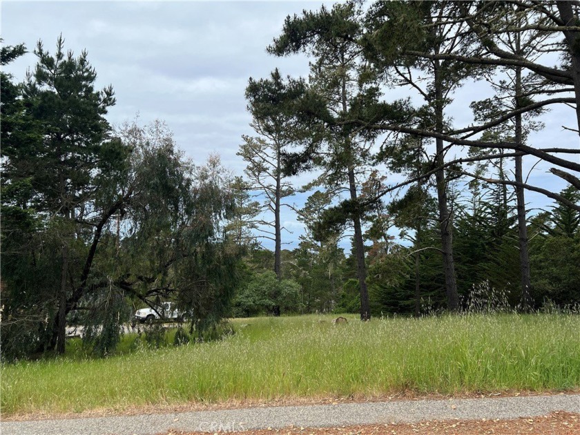 #162 on CCSD Water Wait List. Lodge Hill Oversize Corner Triple - Beach Lot for sale in Cambria, California on Beachhouse.com