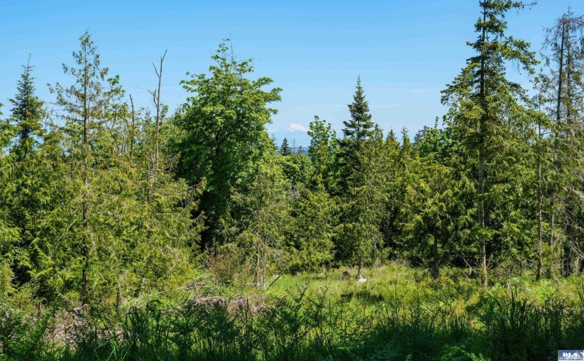 Little Loop Drive - Beach Acreage for sale in Port Angeles, Washington on Beachhouse.com