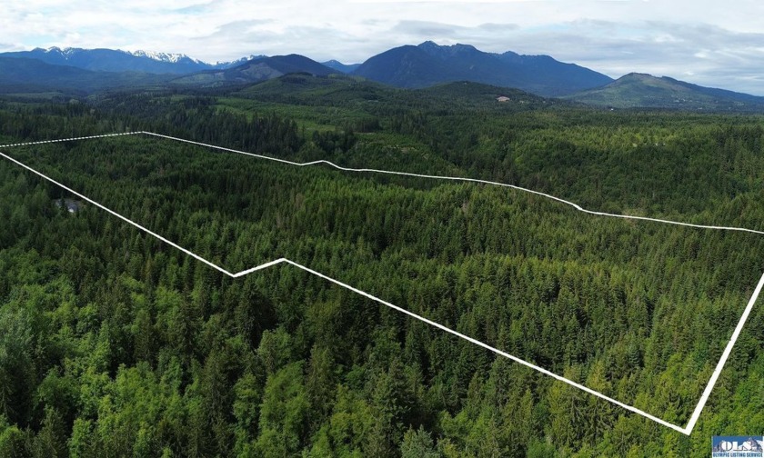 82+ Acre Timber Parcel - Unrivaled Privacy, Creekside Beauty & - Beach Acreage for sale in Port Angeles, Washington on Beachhouse.com