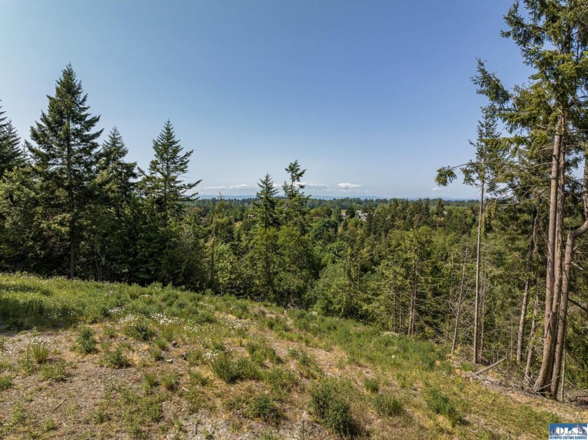 Treed, private five acre lot with a partial water view that - Beach Acreage for sale in Sequim, Washington on Beachhouse.com