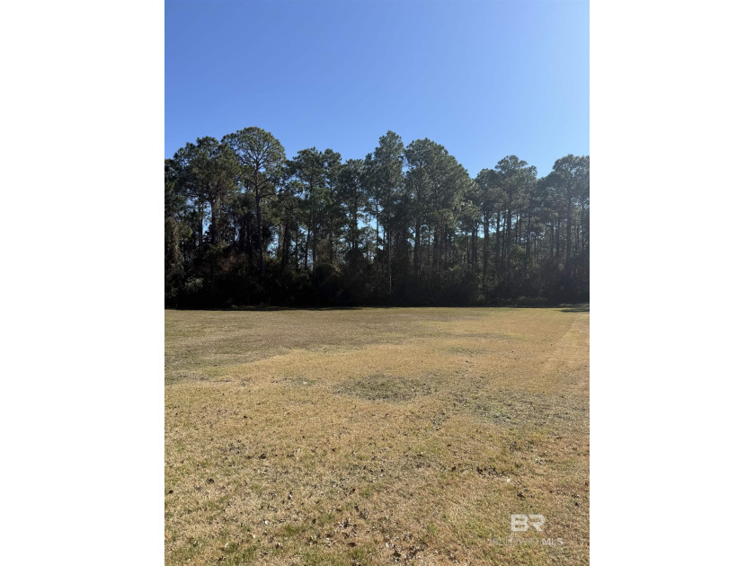 Rare opportunity to own one of the largest lots in the desirable - Beach Lot for sale in Orange Beach, Alabama on Beachhouse.com