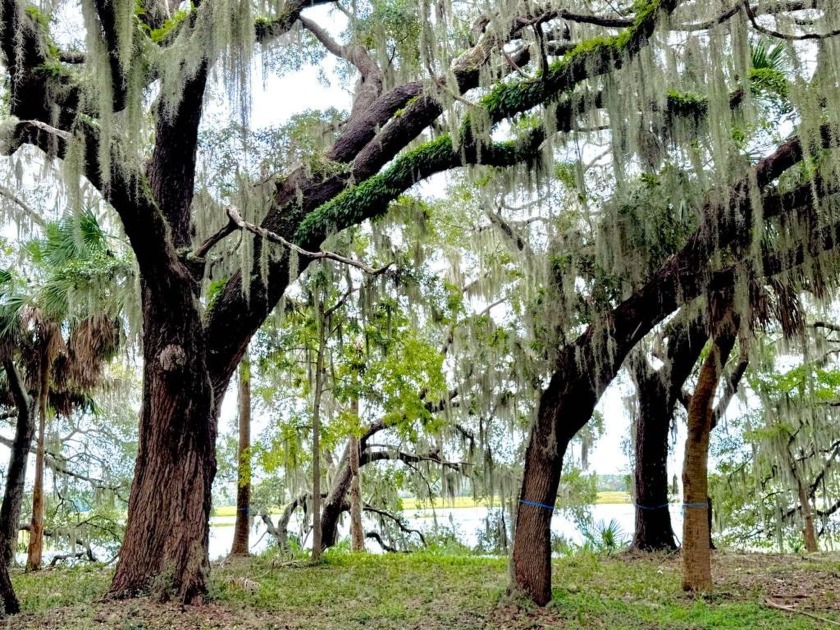 38 Net Weavers Place is a remarkable 5.21-acre deep water - Beach Acreage for sale in Saint Helena Island, South Carolina on Beachhouse.com