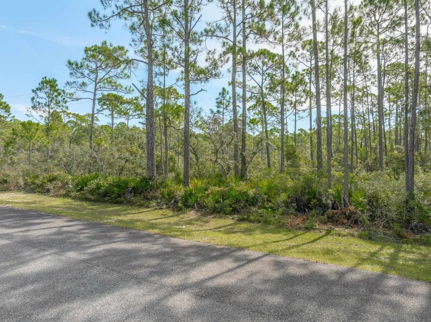 Calling all Pilots! Now is your chance to build a home for you - Beach Lot for sale in Panacea, Florida on Beachhouse.com