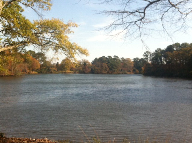 Lots of waterfront and ample room on this 3.41 acre level - Beach Lot for sale in Kilmarnock, Virginia on Beachhouse.com