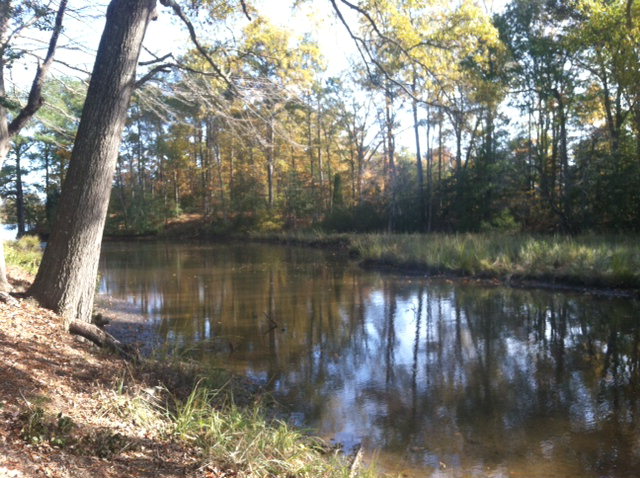 Waterfront lot with canoe depth water in stunningly beautiful - Beach Lot for sale in Kilmarnock, Virginia on Beachhouse.com