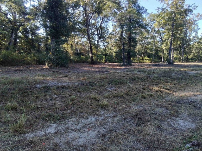 Astonishing 11.89 Acres of Commercial Travel Trailer Parking - Beach Acreage for sale in Crawfordville, Florida on Beachhouse.com