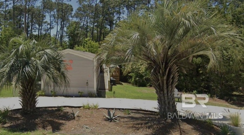Coastal living at its best! Tropical landscape with mature palm - Beach Home for sale in Lillian, Alabama on Beachhouse.com