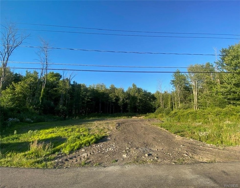Looking for a place to build your new home? Here it is. Great - Beach Lot for sale in Angola, New York on Beachhouse.com