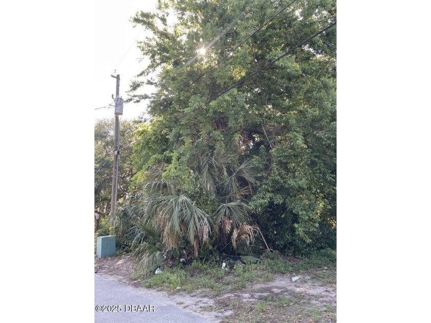 Quiet street in central Ormond. Convenient to everything. Second - Beach Lot for sale in Ormond Beach, Florida on Beachhouse.com