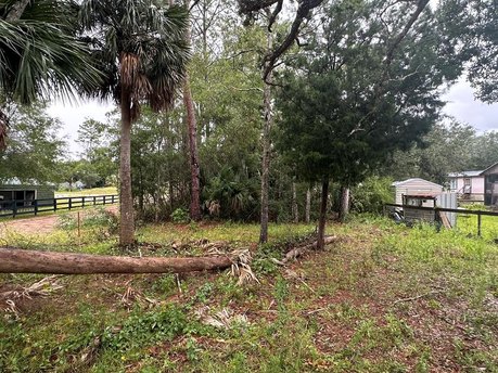 Vacant Lot in the Heart of Steinhatchee! This wooded parcel is - Beach Lot for sale in Steinhatchee, Florida on Beachhouse.com