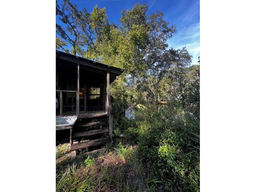 Peaceful and serene getaway for sale on the beautiful - Beach Home for sale in Steinhatchee, Florida on Beachhouse.com