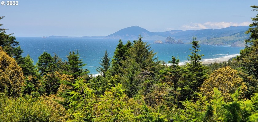 Nestled atop a picturesque landscape, this remarkable parcel of - Beach Lot for sale in Gold Beach, Oregon on Beachhouse.com