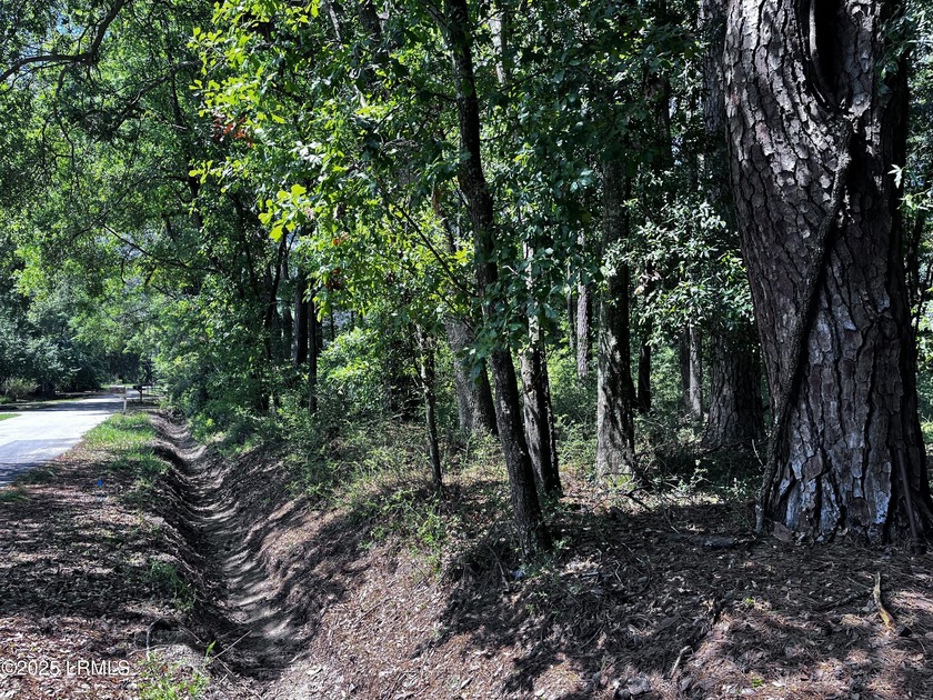 Come and get it....40 of an acre across the street from marsh - Beach Lot for sale in Beaufort, South Carolina on Beachhouse.com