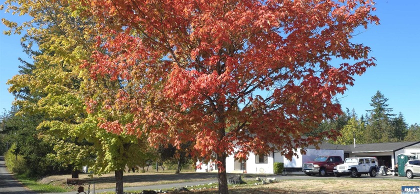 Charming 5-Acre South-Facing Country Retreat in Sequim. Welcome - Beach Home for sale in Sequim, Washington on Beachhouse.com