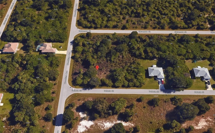 Great OVERSIZED DOUBLE lot for sale in Port Charlotte, that is - Beach Lot for sale in Port Charlotte, Florida on Beachhouse.com