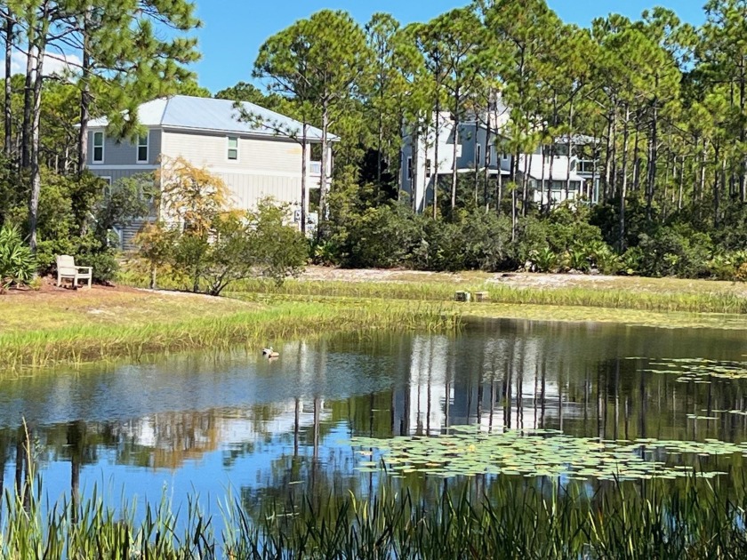 Beautiful interior lot perfect for your dream vacation home! - Beach Lot for sale in Sopchoppy, Florida on Beachhouse.com