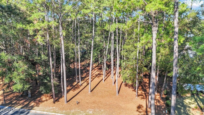 Set within desirable Belfair golf community, this expansive 2/3 - Beach Lot for sale in Bluffton, South Carolina on Beachhouse.com