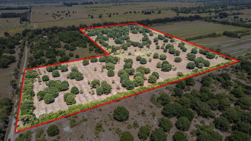 Beautiful treed acreage can be subdivided into 5 acre parcels - Beach Lot for sale in Vero Beach, Florida on Beachhouse.com