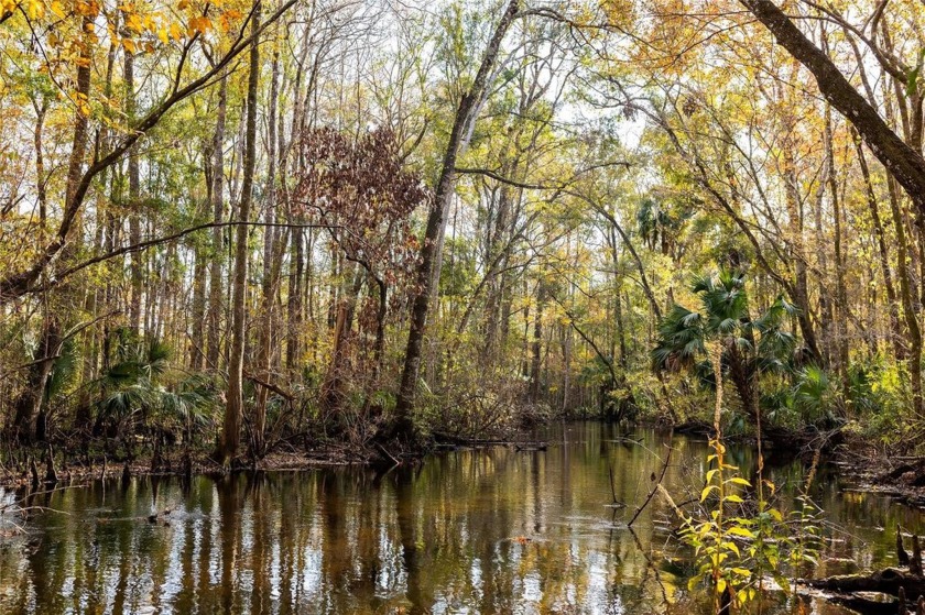 A Rare Opportunity to Own Over 300 Acres of Pristine Florida - Beach Acreage for sale in Gulf Hammock, Florida on Beachhouse.com