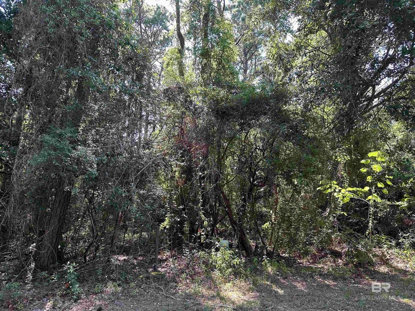 Build your dream home on this hidden gem quiet cul-de-sac - Beach Lot for sale in Fairhope, Alabama on Beachhouse.com