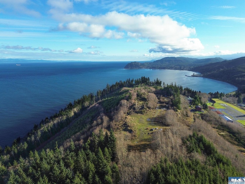 A breathtaking 49.81 acres across four parcels--133213440050 (13 - Beach Acreage for sale in Sekiu, Washington on Beachhouse.com
