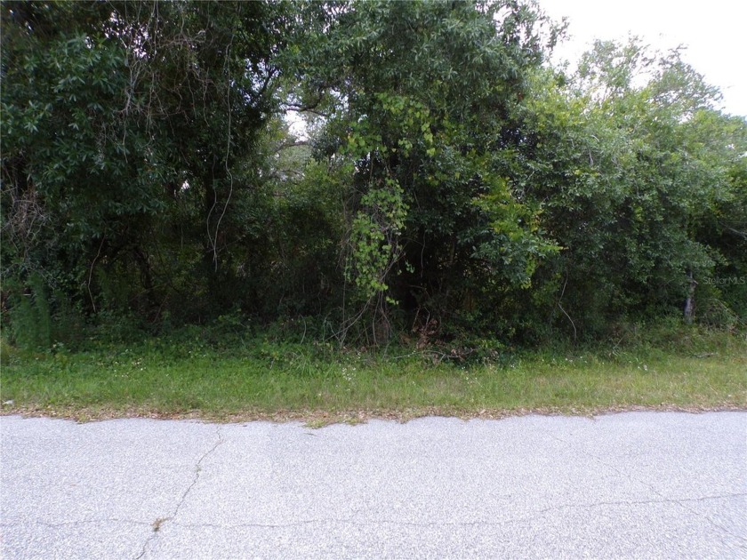 This lot is on a quiet street that would be a great place to - Beach Lot for sale in North Port, Florida on Beachhouse.com