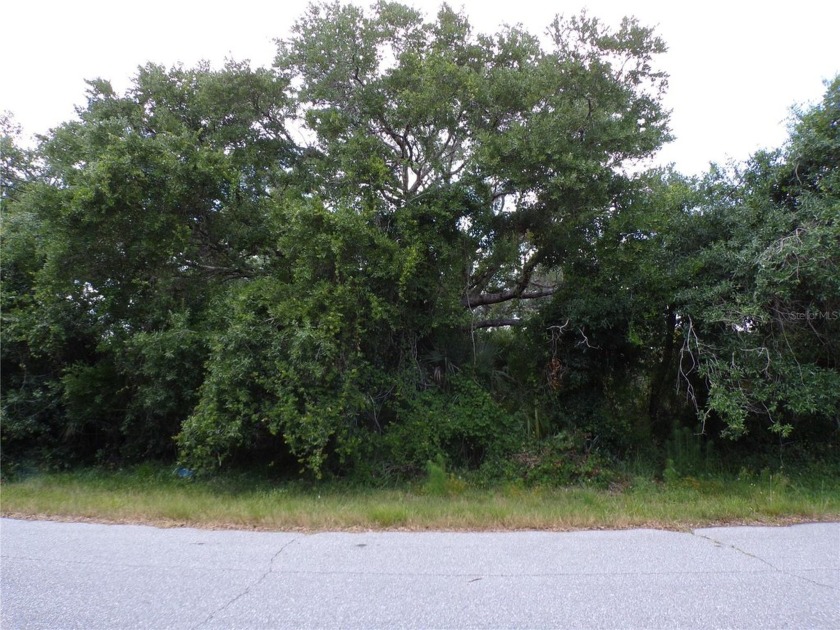 This WATERFRONT lot is on a quiet street that would be a great - Beach Lot for sale in Port Charlotte, Florida on Beachhouse.com