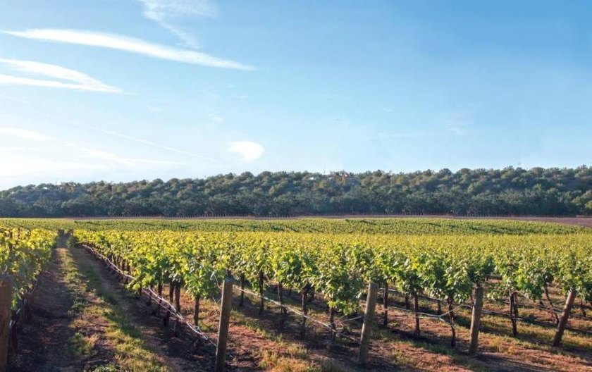 **This is an Auction. Listing price does not reflect sale price - Beach Acreage for sale in Cape May Court House, New Jersey on Beachhouse.com