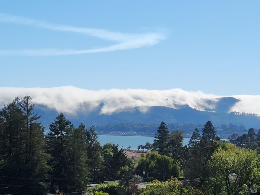 A classic Tiburon property rarely offered for sale. The lot - Beach Home for sale in Tiburon, California on Beachhouse.com