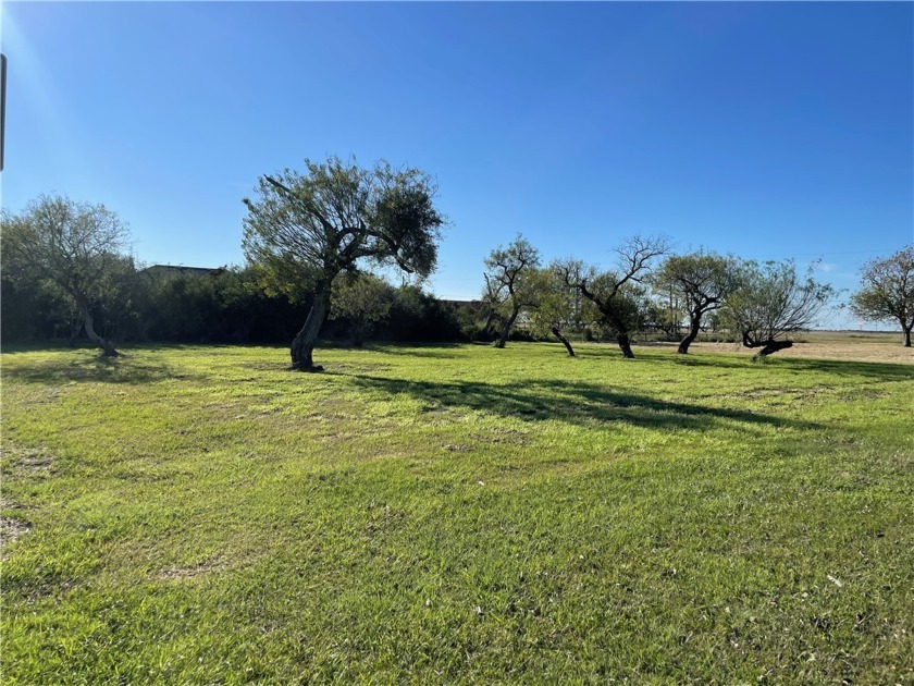 Two manicured lots in Bayside. Beautiful mesquite trees with - Beach Lot for sale in Bayside, Texas on Beachhouse.com