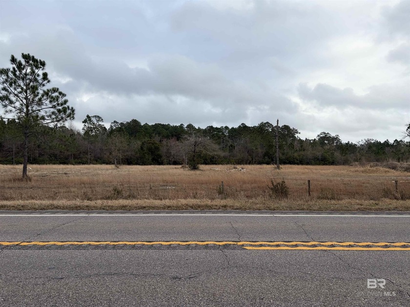 CORNER LOT!!!  NO RESTRICTIONS!!!  Land is becoming RARE close - Beach Acreage for sale in Theodore, Alabama on Beachhouse.com