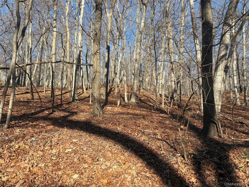 Beautiful vacant land in desirable Miller Place. Close to - Beach Lot for sale in Miller Place, New York on Beachhouse.com