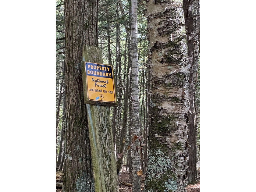 Looking to own your own slice of the beautiful Upper Peninsula? - Beach Acreage for sale in Rapid River, Michigan on Beachhouse.com