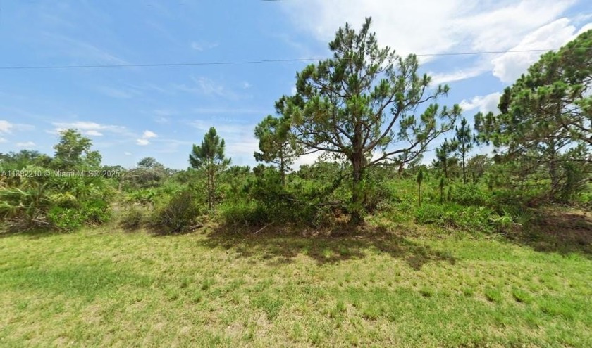 Great Opportunity to Build your dream home! No HOA's, NO CDD's - Beach Lot for sale in Port Charlotte, Florida on Beachhouse.com