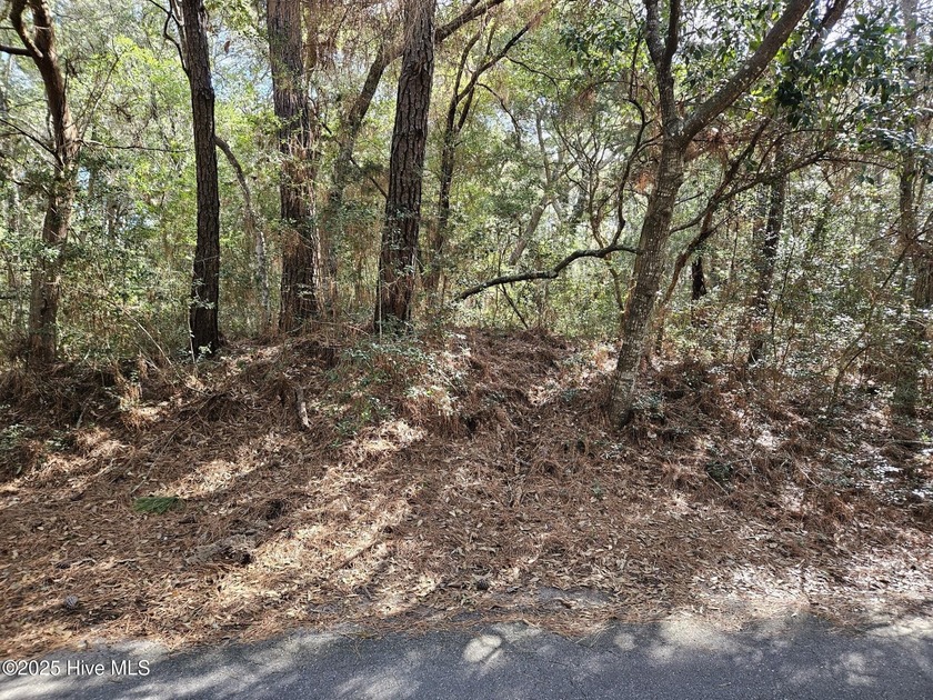 Beautiful golf course homesite with views of the lagoon and - Beach Lot for sale in Bald Head Island, North Carolina on Beachhouse.com