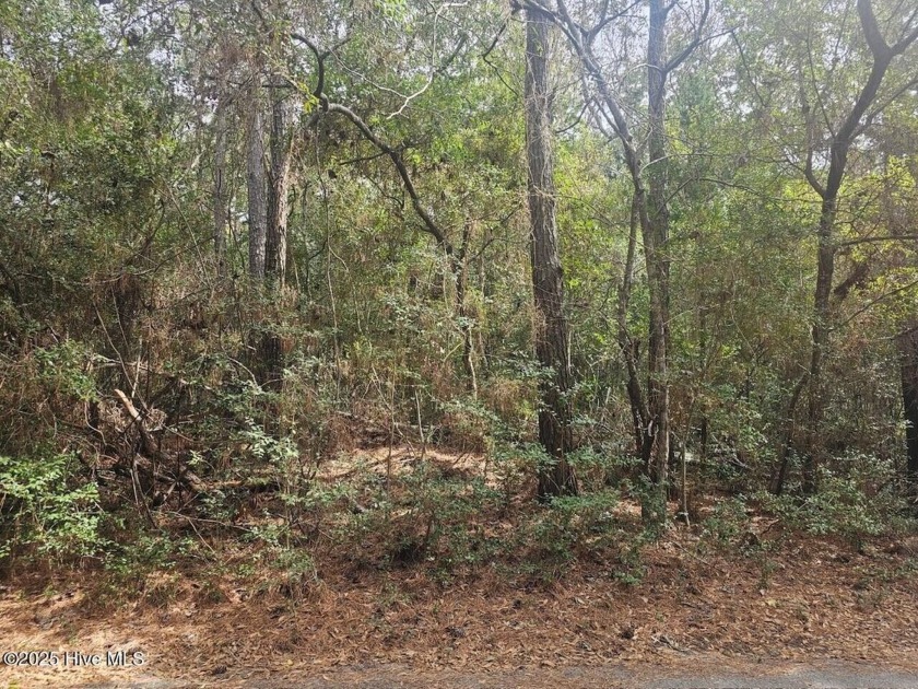 Looking for your best Golf Course homesite to build your dream - Beach Lot for sale in Bald Head Island, North Carolina on Beachhouse.com