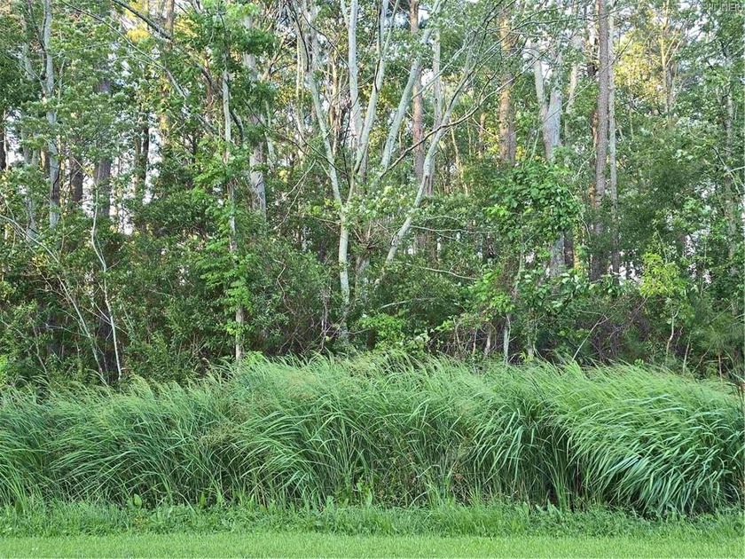 Wooded Flat Lot located in the desirable subdivision of Glen - Beach Lot for sale in Elizabeth City, North Carolina on Beachhouse.com