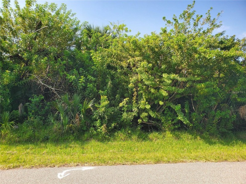 Build your dream home here. Close to schools with PUBLIC WATER - Beach Lot for sale in Port Charlotte, Florida on Beachhouse.com