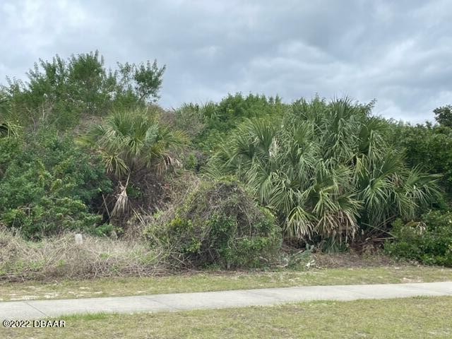 Now Available - Spectacular Oceanside Residential Building Lot - Beach Lot for sale in Ponce Inlet, Florida on Beachhouse.com