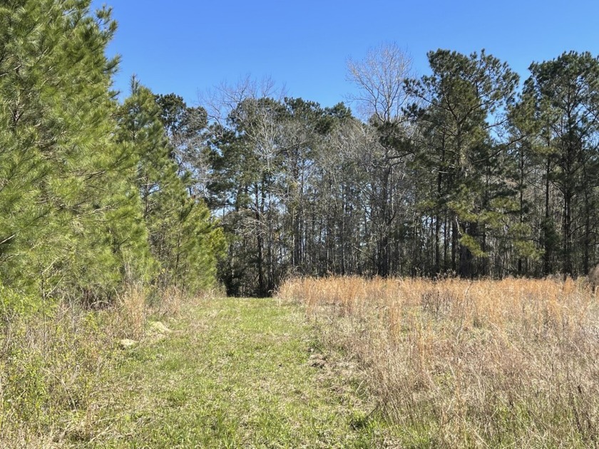 This tract offers cleared land, woods, food plot and a trail - Beach Acreage for sale in Calabash, North Carolina on Beachhouse.com