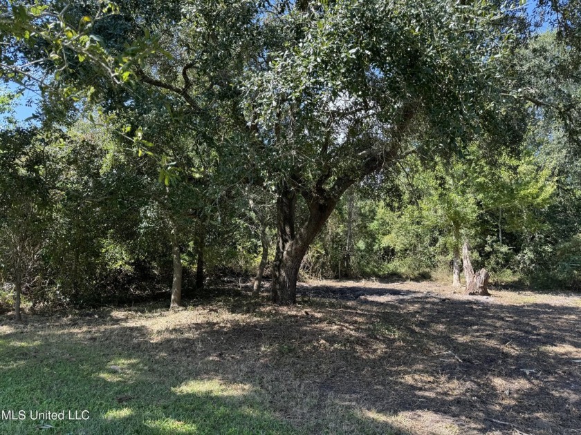 This fantastic lot features numerous adolescent oak trees - Beach Lot for sale in Bay Saint Louis, Mississippi on Beachhouse.com