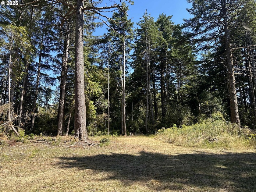 Build your dream home or coastal getaway on this beautiful 1.13 - Beach Lot for sale in Portorford, Oregon on Beachhouse.com