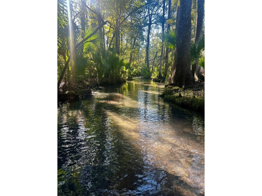 Nestled in the heart of Old Florida, this 1-acre parcel - Beach Home for sale in Steinhatchee, Florida on Beachhouse.com